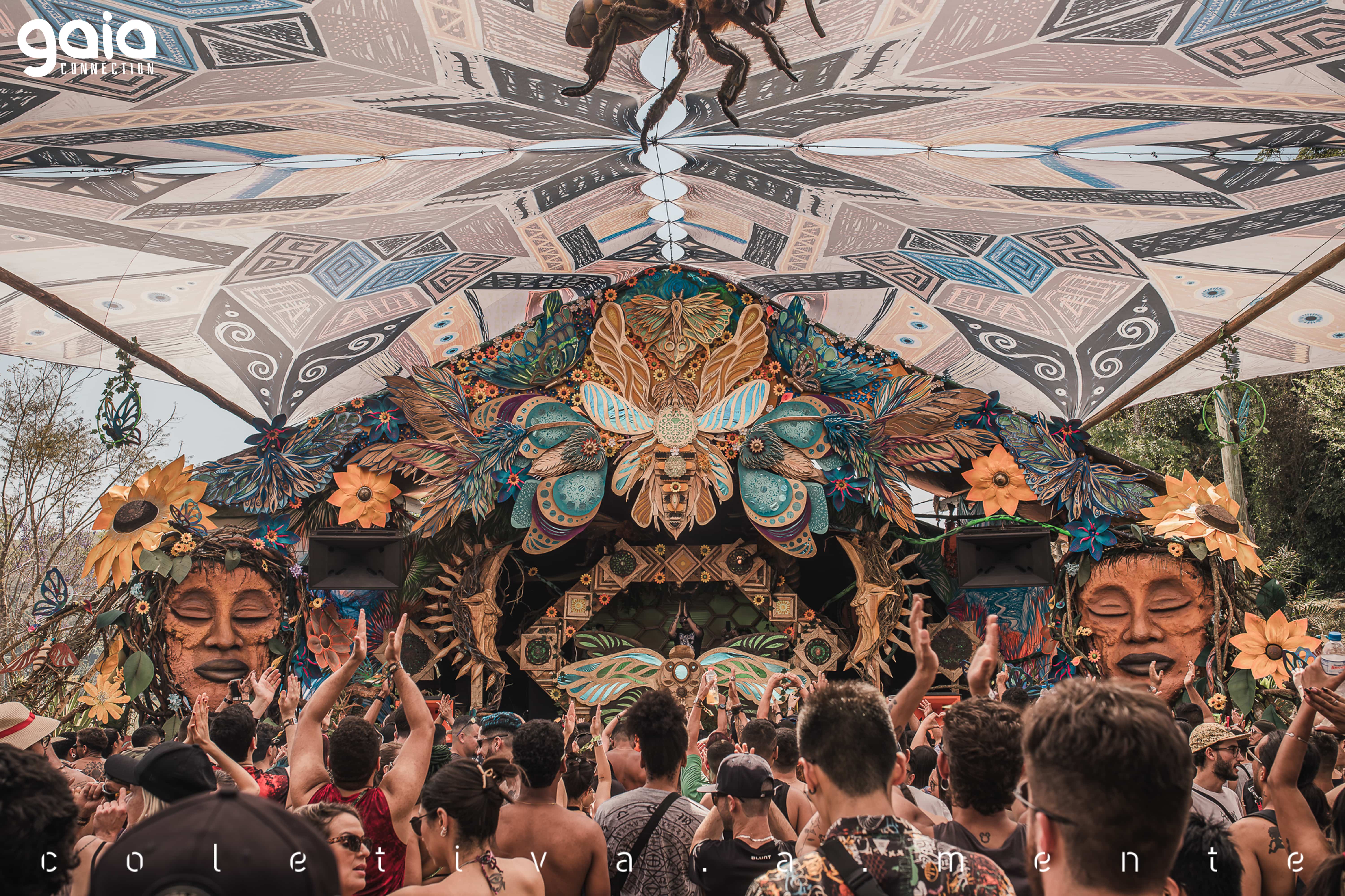 Gaia Connection 5