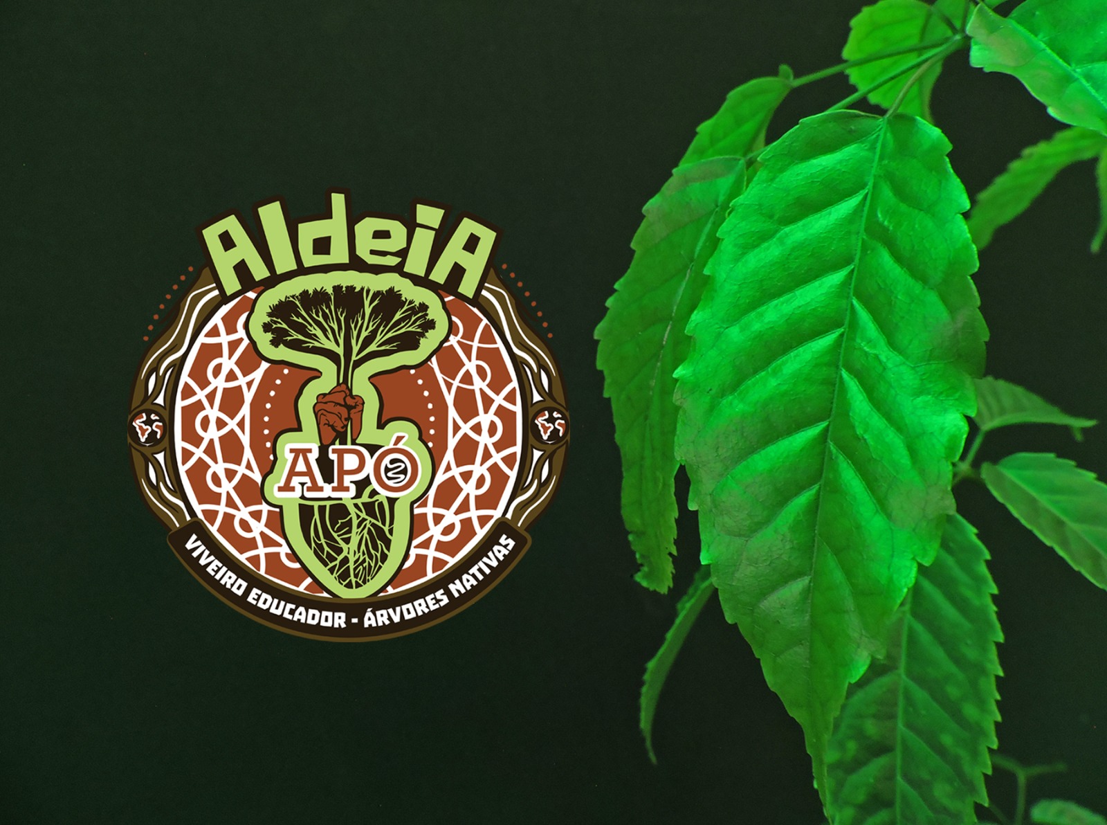 Aldeia Apó