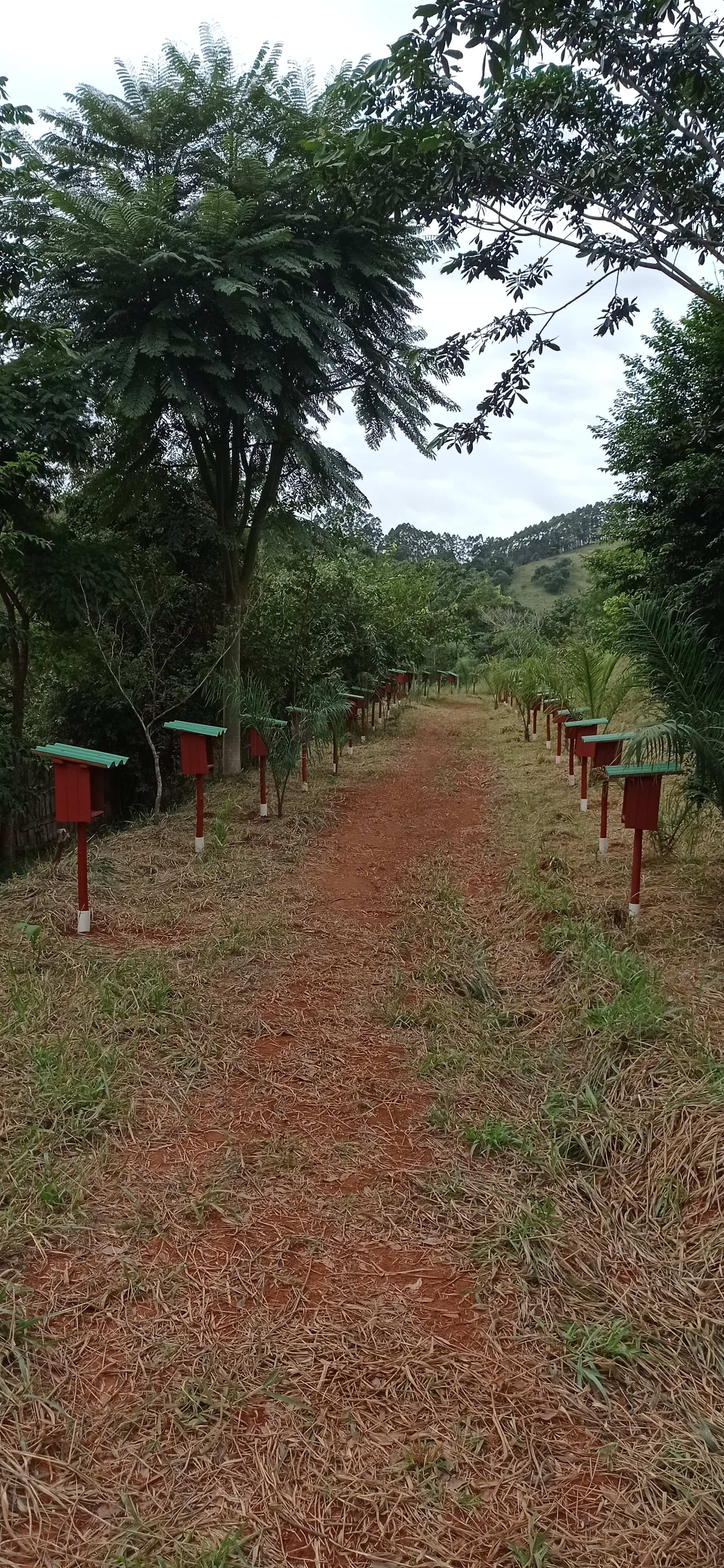 Meliponáro