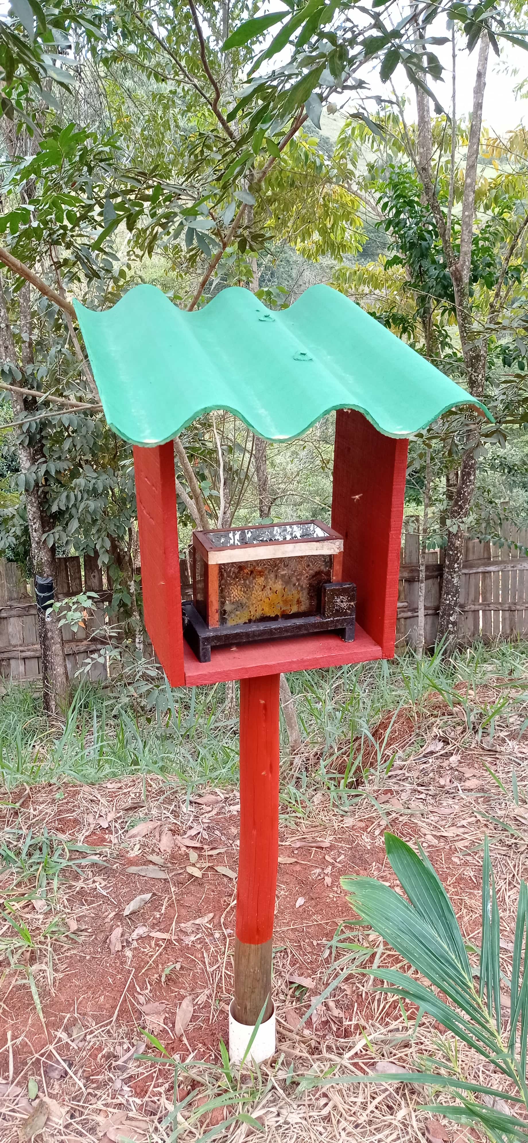 Meliponário Ecopedagógico